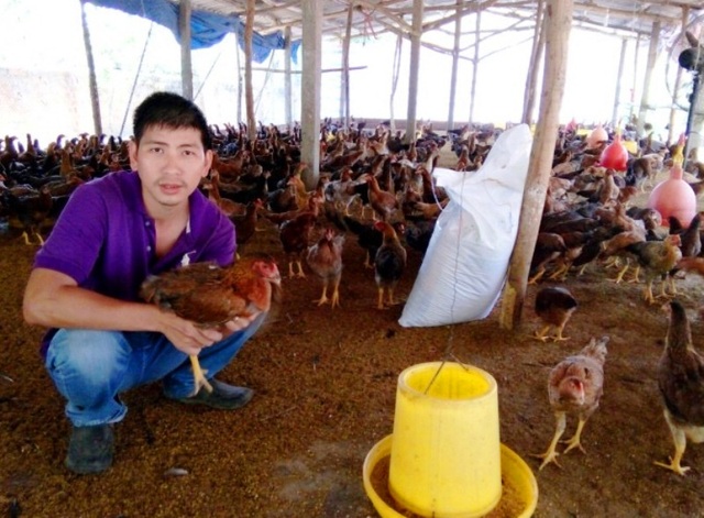 Bình Định: Thanh niên nuôi gà nhận giải thưởng Lương Định Của - 1 Với mô hình nuôi gà cho thu nhập cao, anh Đào Xuân Tuấn (32 tuổi, thôn Chánh Liêm, xã Cát Tường, huyện Phù Cát, Bình Định) là thanh niên duy nhất tỉnh nhận giải thưởng Lương Đình Của năm 2016.