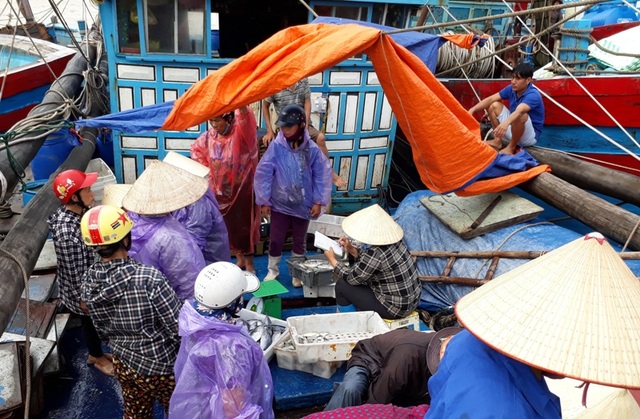 Nhộn nhịp những mẻ cá “chạy bão” - 1 Người dân hối hả bán những mẻ cá trước giờ bão đổ bộ vào đất liền