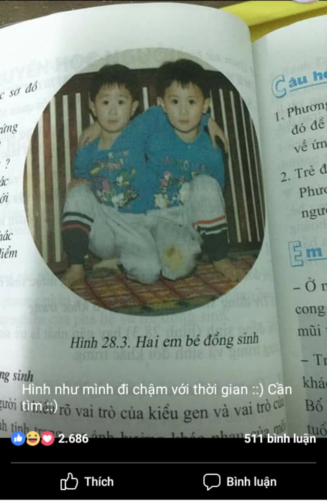 Hai anh em sinh đôi trong sách Sinh học 9 bây giờ ra sao? - 1 Hình ảnh Nguyễn Anh và Gia Ngọc hồi nhỏ trong sách Sinh học 9