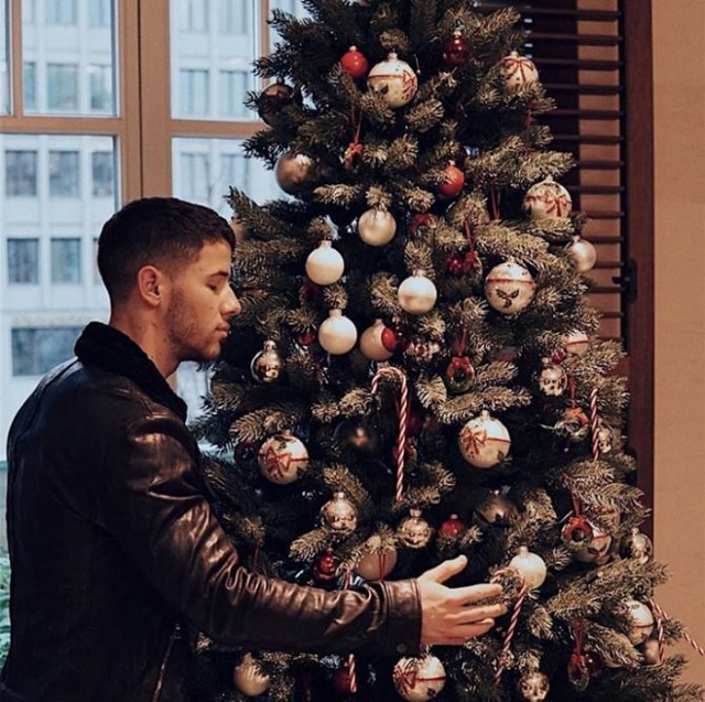Sao trang hoàng cây thông Noel ra sao - 7
Khoảnh khắc bình yên của Nick Jonas