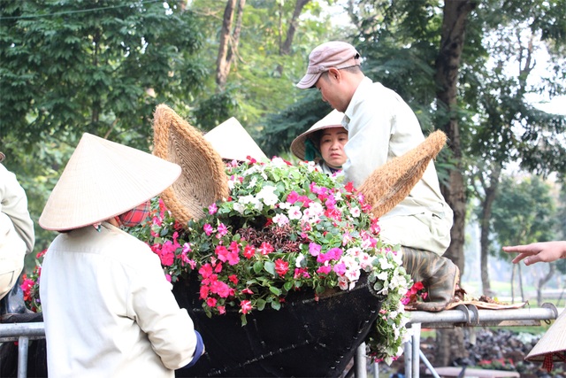 Cận cảnh 12 con giáp "khủng" trong công viên Thống Nhất - 8
Một chú lợn hoa