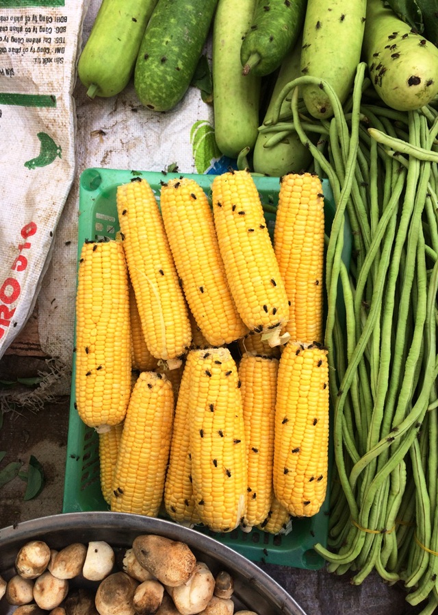 Sau vụ cháy cực lớn kéo dài 5 ngày, “giặc ruồi” bất ngờ bủa vây - 6
Thực phẩm tươi sống bị ruồi bu, không đảm bảo vệ sinh an toàn thực phẩm.