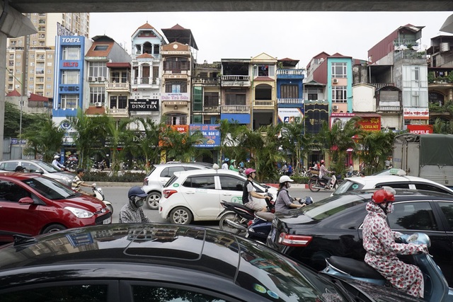 Hà Nội "phủ xanh" gầm đường sắt trên cao bằng cau cảnh - 12
Hàng cây cau cảnh mới trồng trong bối cảnh giao thông đông đúc trên đường Nguyễn Trãi.