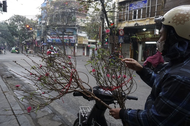 Hà Nội khác lạ ngày đầu năm - 11
Những cành đào Tết bắt đầu về với các gia đình.