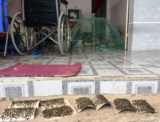 Sau vụ cháy cực lớn kéo dài 5 ngày, “giặc ruồi” bất ngờ bủa vây - 10
Đủ chiêu đối phó với ruồi.