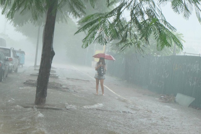 Cư dân mạng "nổ tung" với loạt ảnh Hà Nội ngập lụt nặng nề sau mưa bão - 12 Một cô gái đứng che ô giữa mưa lớn nhưng vẫn thản nhiên dùng điện thoại như không có chuyện gì xảy ra