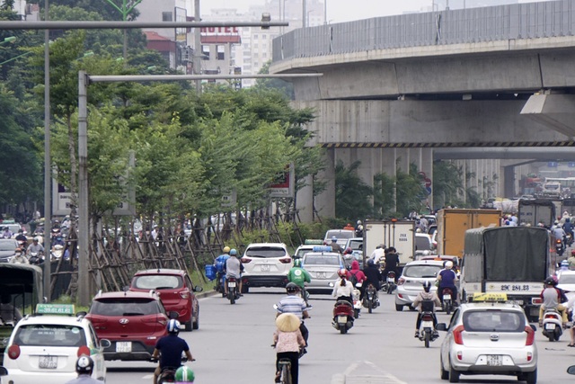 Hà Nội "phủ xanh" gầm đường sắt trên cao bằng cau cảnh - 8
Cau cảnh được trồng tiếp nối với hàng cây cũ khi đường sắt trên cao vòng từ đường Láng tiếp nối với đường Nguyễn Trãi.