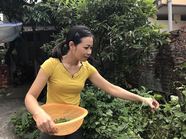 Rớt nước mắt chuyện đời cô giáo nhặt ve chai, chăm chồng ung thư - 6 Cô giáo Thùy đùa: Do chồng ăn kiêng nên bữa cơm nhà đâm ra cũng ít thịt cá. (ảnh: Mỹ Hà)