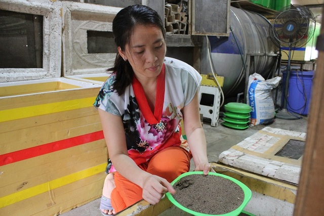 Kiếm trăm triệu mỗi tháng nhờ “độc chiêu” nuôi côn trùng trên sân thượng - 3 Tại trang trại côn trùng ở Tam Trinh (Hà Nội), tuy diện tích chưa đến 100m2 nhưng lại được chị Xuân nuôi gần 100 thùng dế, và khoảng 1.000 con tắc kè.