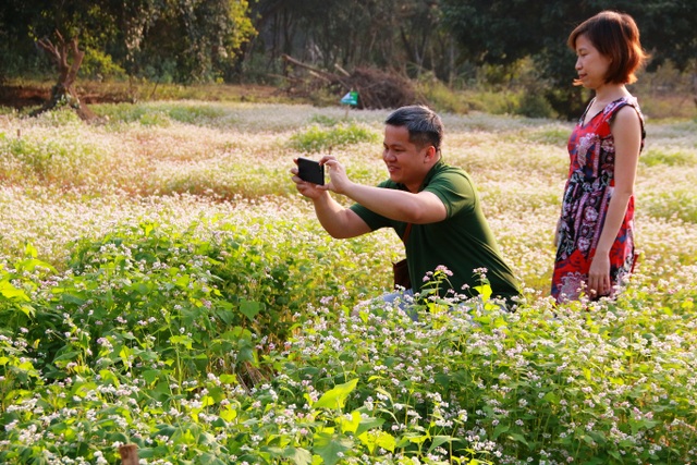 Ngắm vườn hoa tam giác mạch “độc nhất vô nhị” ở Ninh Bình - 2 Nhiều người dân kéo đến chiêm ngưỡng và lưu lại những khoảnh khắc hiếm có tại vườn hoa tam giác mạch độc nhất vô nhị ở Ninh Bình.