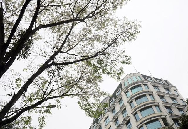 Hà Nội vào mùa hoa sưa trắng - 10 Hà Nội vào mùa hoa sưa trắng - 10