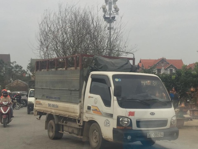 Mổ gà, chở cây dịp Tết, kiếm bạc triệu mỗi ngày - 1 Mổ gà, chở cây dịp Tết, kiếm bạc triệu mỗi ngày - 1