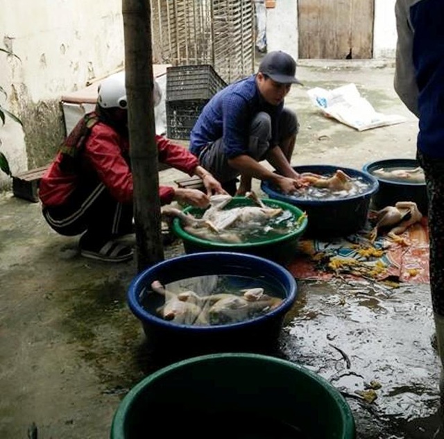 Mổ gà, chở cây dịp Tết, kiếm bạc triệu mỗi ngày - 6 Nhiều cơ sở giết mổ gia cầm làm không hết việc