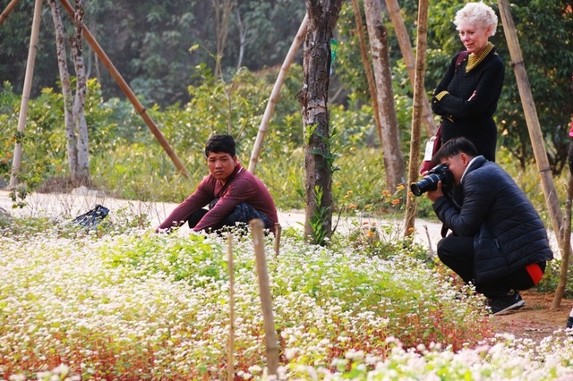 Ngắm vườn hoa tam giác mạch “độc nhất vô nhị” ở Ninh Bình - 14 Ngắm vườn hoa tam giác mạch “độc nhất vô nhị” ở Ninh Bình - 14