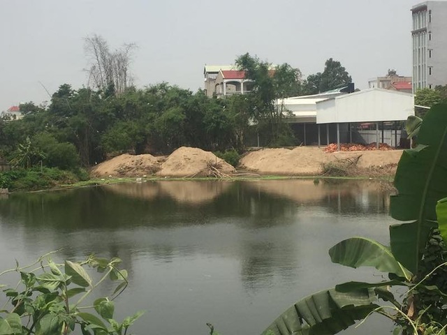 Chủ tịch TP Hà Nội chỉ đạo làm rõ vụ lấp hồ, chiếm nơi ở của đàn cò vạc nghìn con - 2 Chủ tịch TP Hà Nội chỉ đạo làm rõ vụ lấp hồ, chiếm nơi ở của đàn cò vạc nghìn con - 2