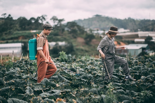 Bộ ảnh cưới bình dị của đôi bạn trẻ giữa... cánh đồng bắp cải - 8 Quá trình lên ý tưởng và thực hiện khá nhanh, chỉ mất một buổi chiều bộ ảnh hoàn thành. Trang phục được chuẩn bị trước còn các đạo cụ do người dân tại vườn hỗ trợ.