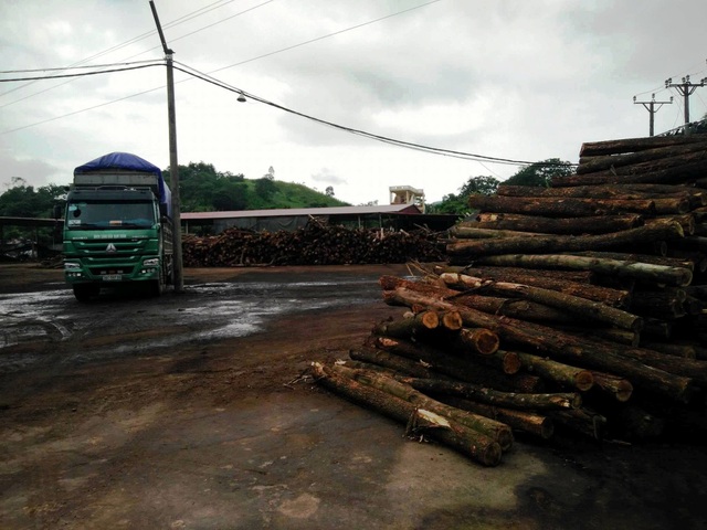 Thanh Hóa: Chưa đủ thủ tục pháp lý, nhà máy chế biến gỗ vẫn ngang nhiên hoạt động - 2 Mặc dù không đủ thủ tục pháp lý nhưng doanh nghiệp vẫn ngang nhiên hoạt động