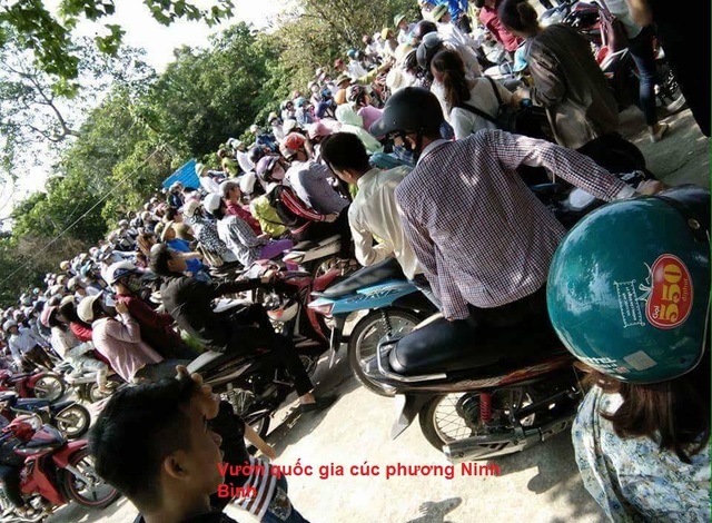 Mạng xã hội "nổ tung" với hình ảnh kín đặc người tại các khu du lịch trong dịp nghỉ lễ - 7 Vườn quốc gia Cúc Phương
