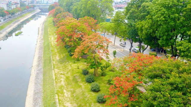 Vẻ đẹp nao lòng của những con đường hoa phượng đẹp nhất Hà Nội - 4 Không chỉ là loài hoa báo hiệu mùa hè về, hoa phượng còn là biểu tượng của mùa chia tay mái trường, thầy cô. Chính vì thế, đi dưới những con đường rợp màu phượng đỏ, nhiều người không tránh khỏi cảm giác xao xuyến, bồi hồi.