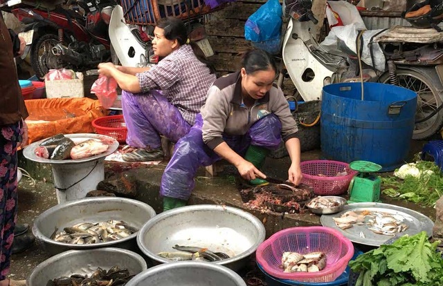 Lạ lùng bèo tây, trứng ung thành... đặc sản Hà Thành - 1 Người dân săn lùng mua các loại bong bóng cá