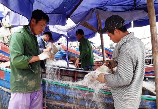 Thanh Hóa: Ngư dân hồ hởi ra khơi trong Ngày quốc tế lao động 1/5 - 2 Ngư dân thu lượm thành quả sau chuyến ra khơi trở về