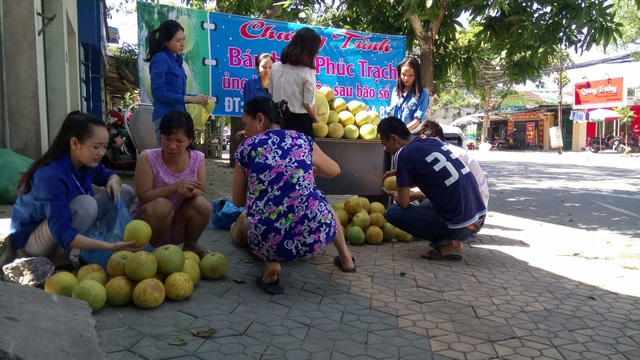 Chung tay giúp đỡ bà con vùng bưởi Phúc Trạch sau bão số 10 - 2 Người dân đến mua bưởi Phúc Trạch tại địa điểm Trường Trung cấp Việt Anh, TP Vinh.