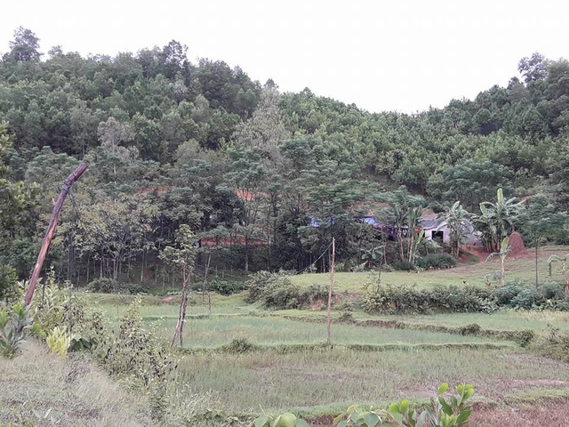 
Căn nhà anh Dinh nằm trong khu vực trang trại bị sét đánh.
