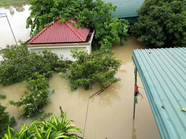 Nghệ An: Nhiều trường học ngập lụt, học sinh phải nghỉ học - 6 Trường học nhìn từ trên tầng 2.