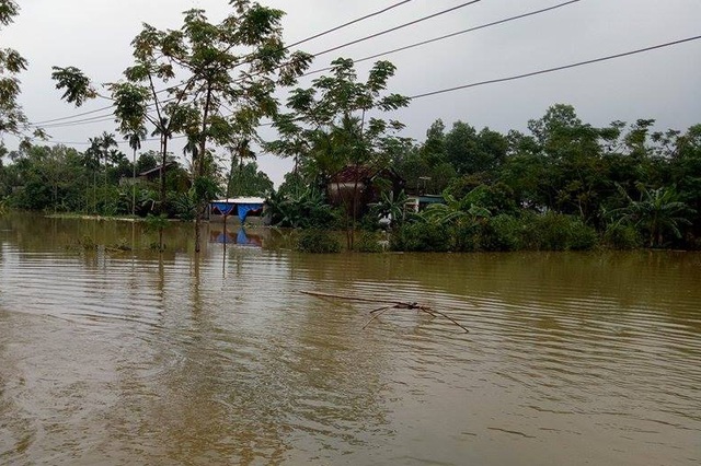 Thanh Hóa: Rau tăng giá gấp đôi vẫn không có hàng để bán - 1 Diện tích trồng rau của bà con Nông Cống sau đợt lũ đã trắng băng nước