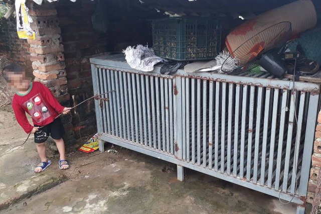 Thông tin mới về hình ảnh cậu bé 3 tuổi cưỡi trăn “khủng” - 3 Bé trai ở nhà ông Cao có vẻ ngoài giống cháu bé cưỡi trên con trăn được đăng tải trên mạng xã hội