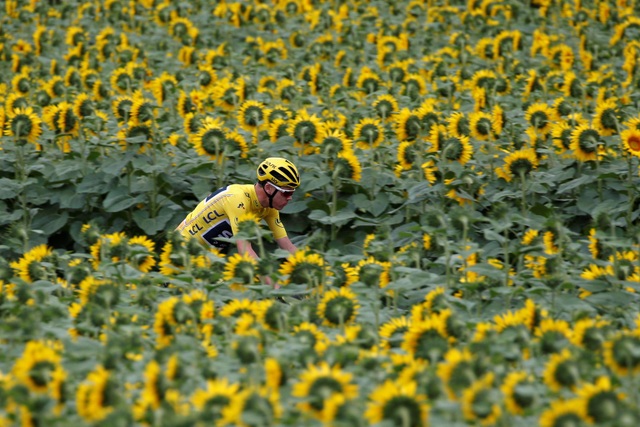 Chặng 10 của giải đua xe đạp Tour de France, đoạn từ thành phố Perigueux tới xã Bergerac, Pháp. (Ảnh chụp ngày 11/7)