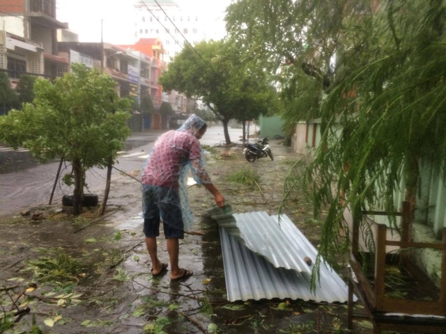 Bão số 12 quần thảo Khánh Hòa - Phú Yên - Bình Định nhiều giờ - 16
Người dân đi nhặt tôn trong bão