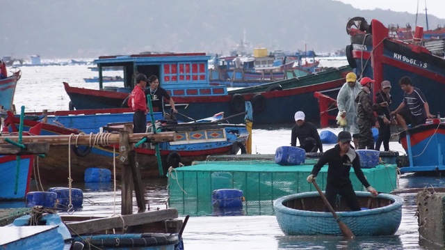"Cơn bão chưa từng thấy suốt 25 năm qua!" - 9
Dân thẫn thờ trước những lồng tôm mất trắng.