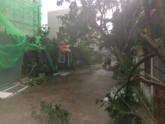 Bão số 12 quần thảo Khánh Hòa - Phú Yên - Bình Định nhiều giờ - 26 Bão số 12 quần thảo Khánh Hòa - Phú Yên - Bình Định nhiều giờ - 26