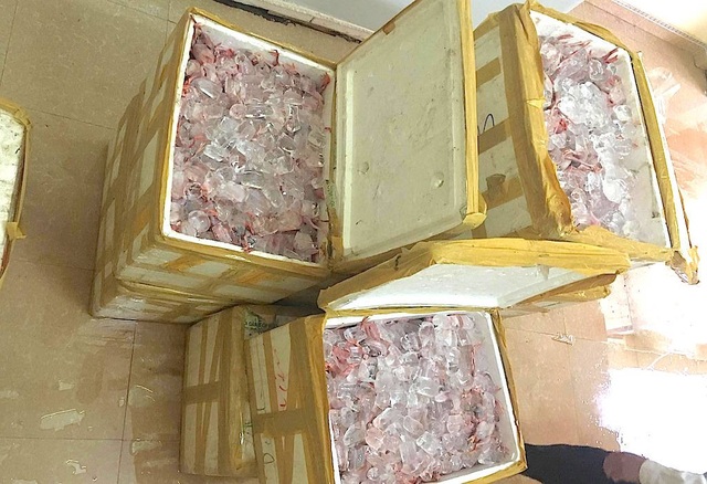 6 tạ chim cút bốc mùi suýt vào miệng thực khách Hà Nội - 2 Điều đáng nói, 6 tạ chim cút này khi phát hiện đã có mùi hôi thối và rất nguy hiểm nếu như để lọt
