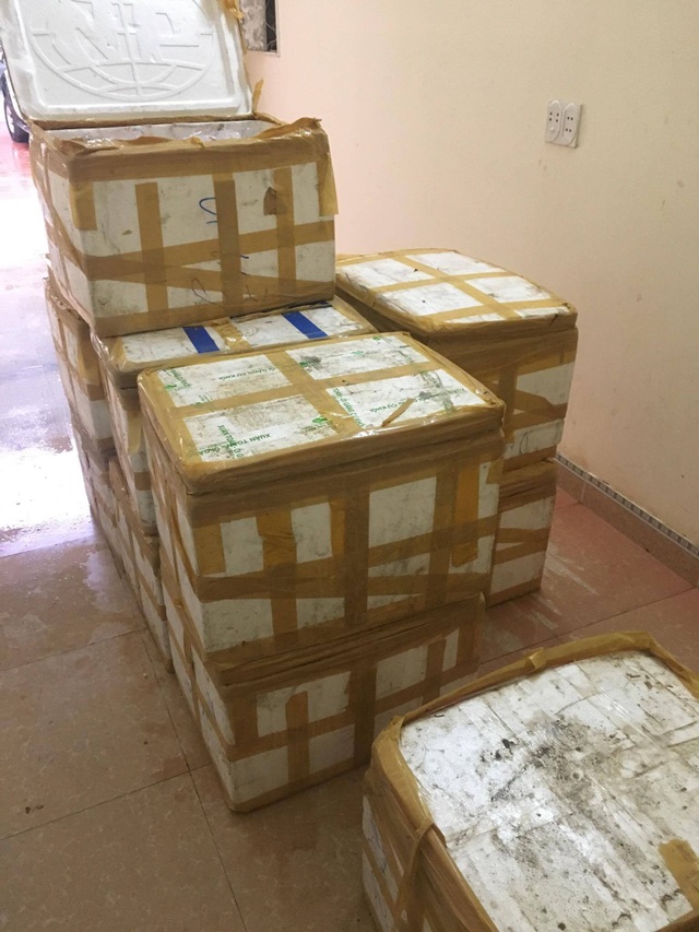 6 tạ chim cút bốc mùi suýt vào miệng thực khách Hà Nội - 1 Số lượng 6 tạ chim cút được nhà xe bỏ trong thùng xốp.