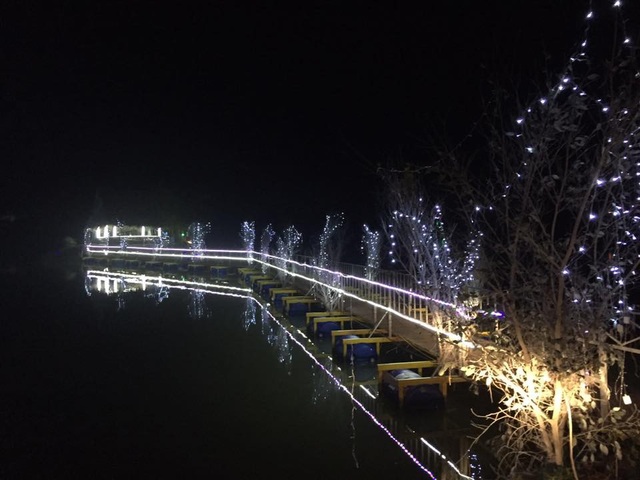 Cây thông Noel ghép bằng 6.000 nồi đất được xác lập Kỷ lục Việt Nam - 7 Cây thông Noel ghép bằng 6.000 nồi đất được xác lập Kỷ lục Việt Nam - 7