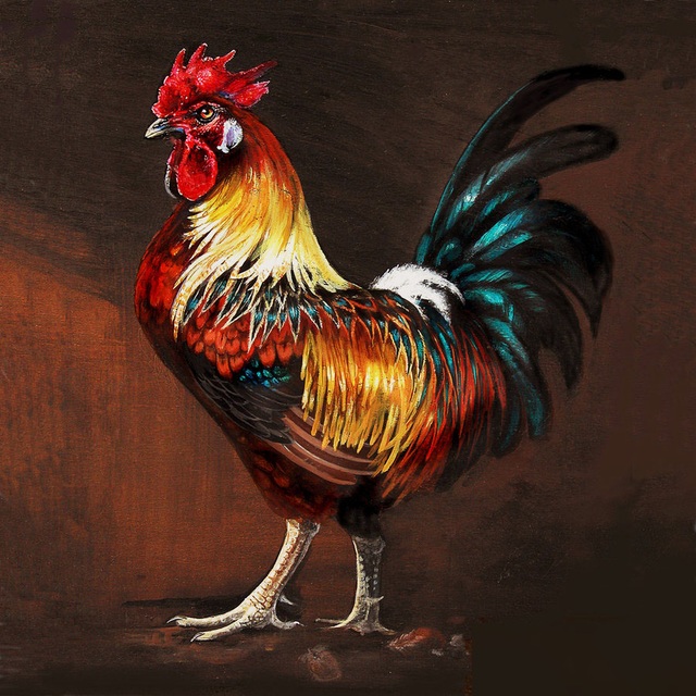 Hình tượng con gà trong văn hóa Đông - Tây | Báo Dân trí