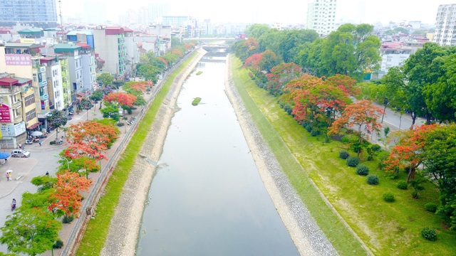 Vẻ đẹp nao lòng của những con đường hoa phượng đẹp nhất Hà Nội - 1 Cứ mỗi độ tháng 5 về, đi trên nhiều con đường, góc phố của Hà Nội lại dễ dàng bắt gặp màu đỏ rực của hoa phượng nở. Đây cũng là khoảnh khắc báo hiệu mùa hè đã về.