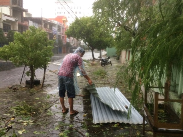Đường phố ngổn ngang, nhà mất mái khi bão số 12 đổ bộ - 12 Người dân đi nhặt tấm tôn trong bão. (Ảnh: Trung Thi).