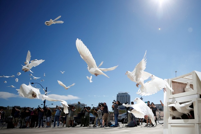 Nghi thức thả chim bồ câu trong lễ tưởng niệm các nạn nhân của vụ xả súng tại lễ hội âm nhạc Route 91 Harvest ở thành phố Las Vegas, Mỹ. (Ảnh chụp ngày 7/10)