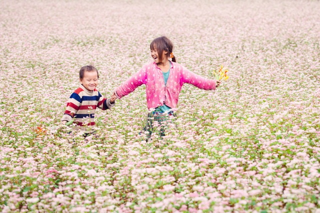 Mê mẩn những cánh đồng hoa tam giác mạch đẹp nhất Việt Nam - 5 Hoa tam giác mạch miên man ở Cao Bằng. Ảnh: Vietravel