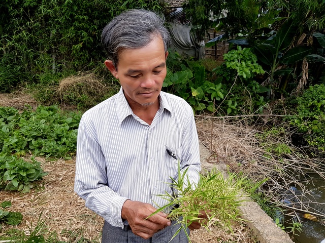 Thú vị cây tre "nở trăm hoa" ở Quảng Nam - 4 Ông Hài cầm hoa tre giới thiệu cho những người đến xem