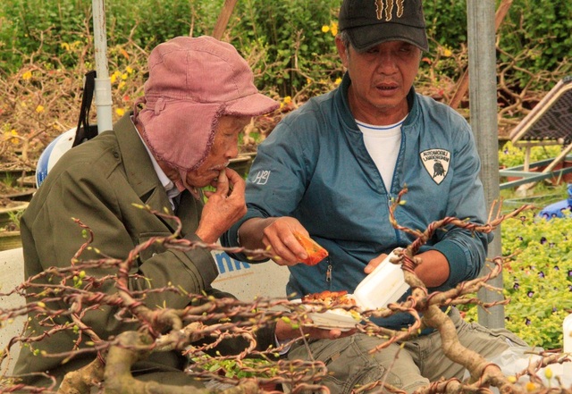 Thâu đêm "gác hoa": Vừa lo mưa gió lại sợ... xin đểu - 4 Cơm đùm cơm nắm, thâu đêm bán hoa Tết
