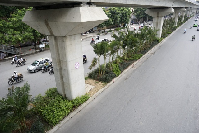 Hà Nội "phủ xanh" gầm đường sắt trên cao bằng cau cảnh - 5
Hiện cau cảnh đã được trồng trên một đoạn khoảng 1km từ Ngã Tư Sở đến nút giao Nguyễn Trãi - Khuất Duy Tiến.