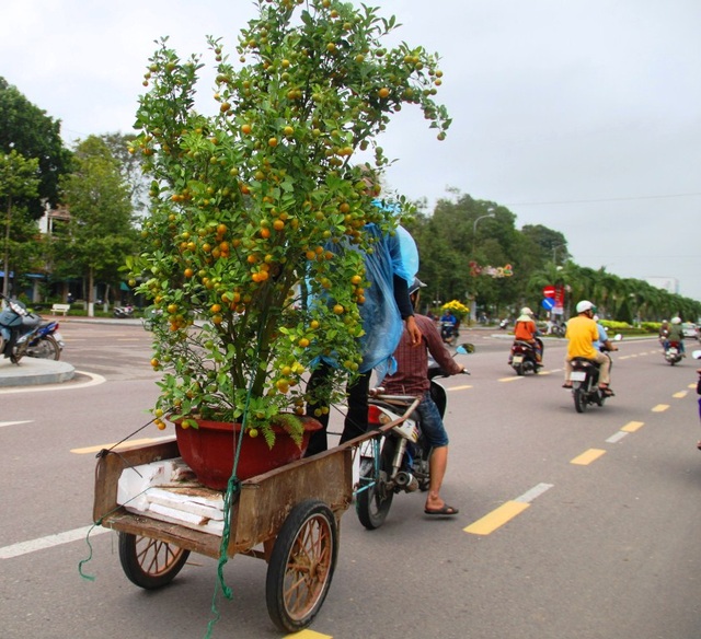 Tất tả mưu sinh kiếm từng đồng bạc lẻ ngày cận Tết - 6 Dịp Tết lao động nghèo chạy xe ba gác đang chạy đua kiếm tiền lo sắm Tết