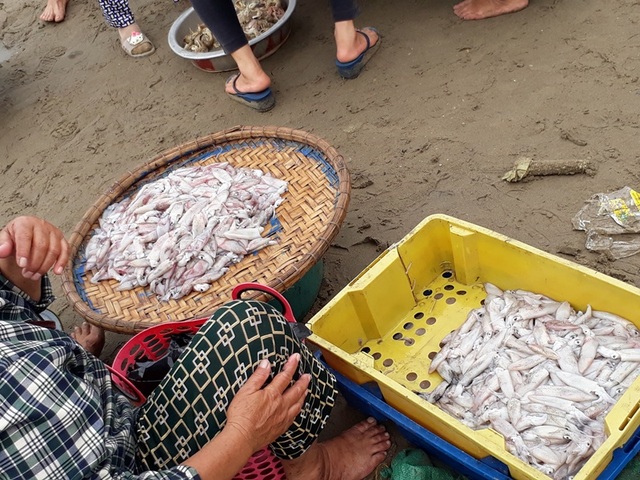 Thanh Hóa: Ngư dân hồ hởi ra khơi trong Ngày quốc tế lao động 1/5 - 3 Ngư dân chào bán những sản phẩm vừa thu hoạch từ biển về