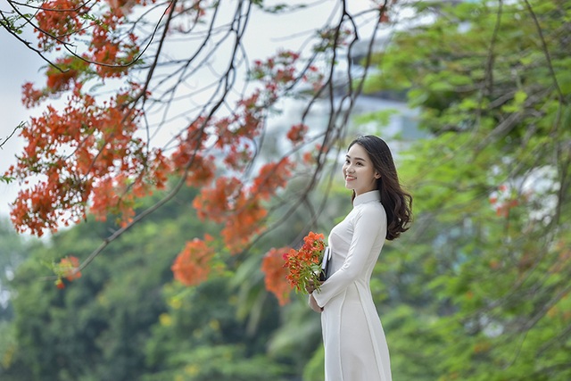 Nữ sinh tuổi 16 lãng mạn bên chùm hoa phượng đỏ - 9 Nữ sinh tuổi 16 lãng mạn bên chùm hoa phượng đỏ - 9