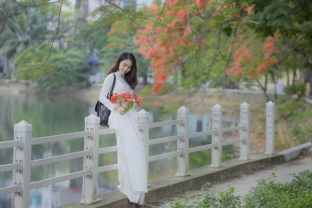 Nữ sinh tuổi 16 lãng mạn bên chùm hoa phượng đỏ - 13 Nữ sinh tuổi 16 lãng mạn bên chùm hoa phượng đỏ - 13