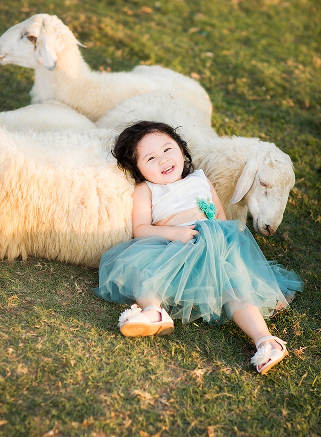 Bức ảnh của một bé gái 2 tuổi đang chuẩn bị nắm tay một bầy cừu xinh xắn sẽ khiến bạn nhớ đến tuổi thơ của mình. Hãy xem bức ảnh này để cảm nhận tình bạn đáng yêu giữa bé và các chú cừu.
